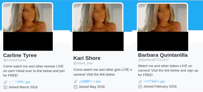 Image 2: Three sample pornbot Twitter accounts using the same profile picture. Each pornbot has a different username, bio, and join date, and each bio contains a link to a different adult entertainment website. However, these adult entertainment websites were hosted on common servers.