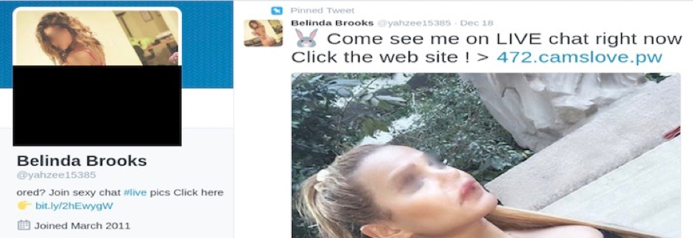  Image 4: Example of a pornbot account using the second advertising method, whereby links to adult websites are included in the bio and the pinned tweet.