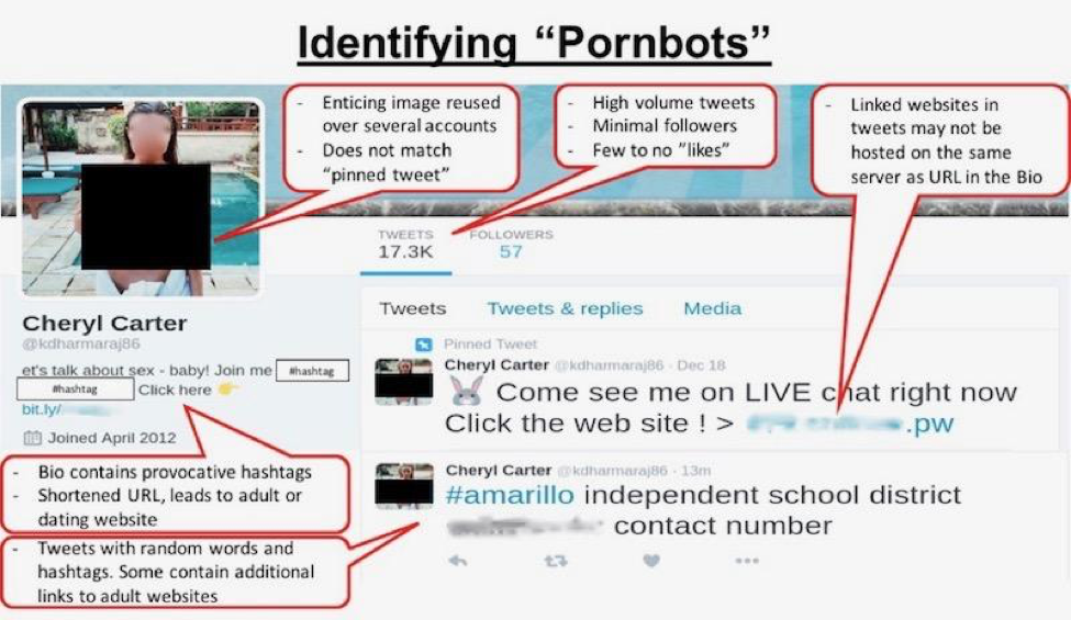 Image 5: Sample guide to identifying pornbots and spambots.